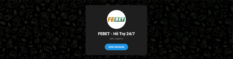 Trang hỗ trợ FEBET